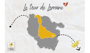 Tour de Lorraine de la mirabelle : partez à la rencontre de nos producteurs